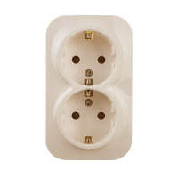 Розетка 2м о/у с/з сл.кость IONICH (1428)